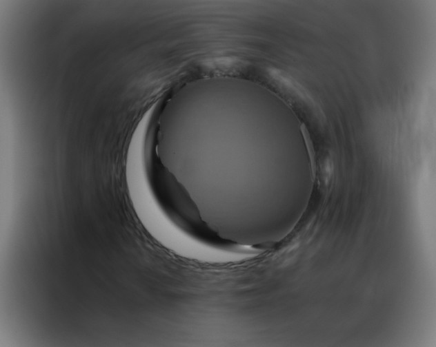 X0000088201010200705221718