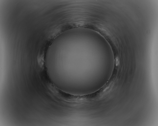 X0000088201011200705221718