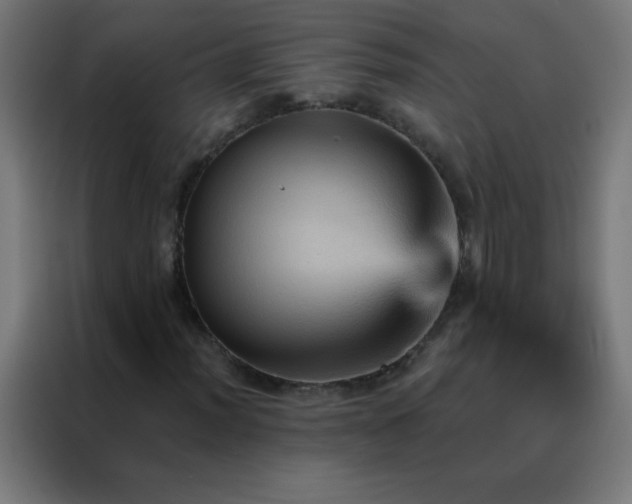 X0000088201012200705221718