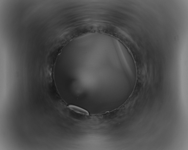 X0000088201013200705221718
