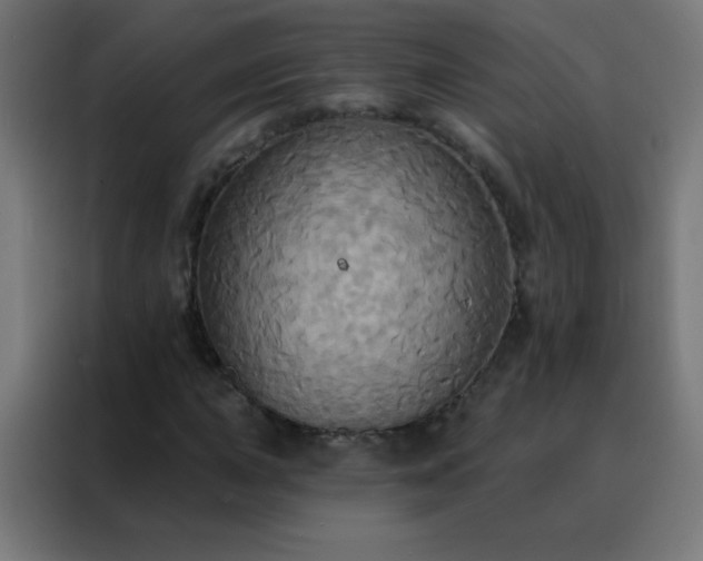 X0000088201015200705221718