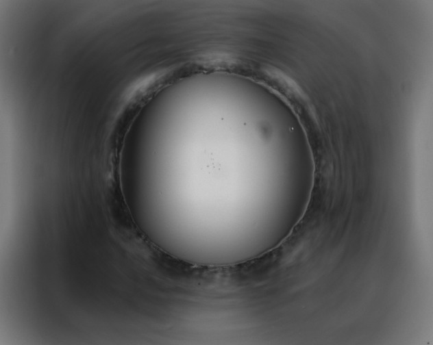 X0000088201016200705221718