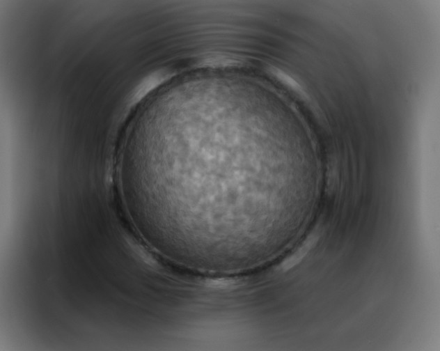 X0000088201017200705221718