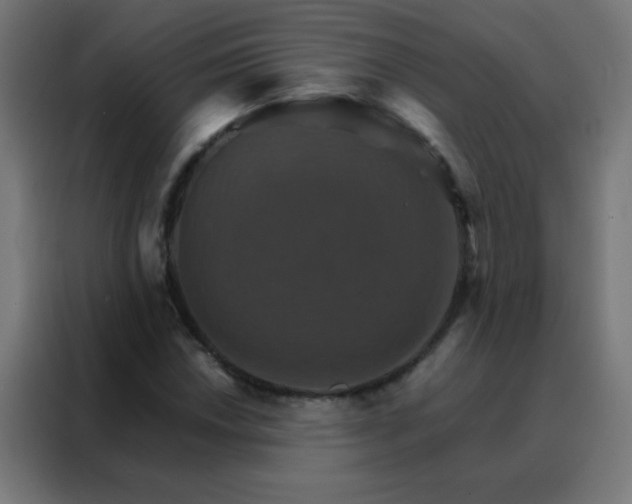 X0000088201018200705221718