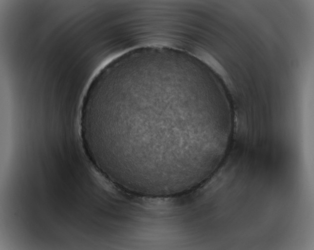 X0000088201020200705221718