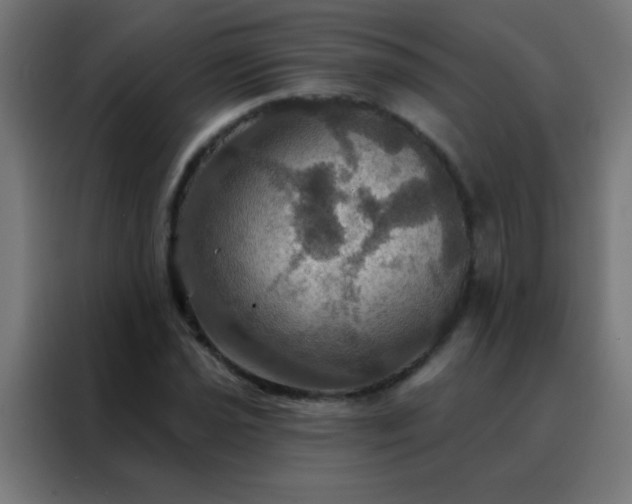 X0000088201021200705221718