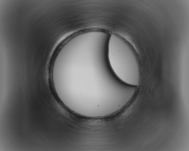 X0000088201024200705221718