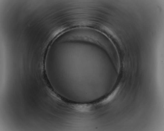 X0000088201025200705221718