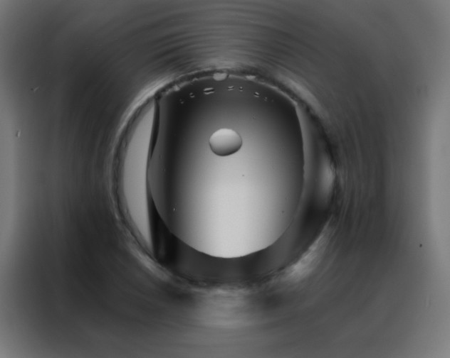 X0000088201026200705221718