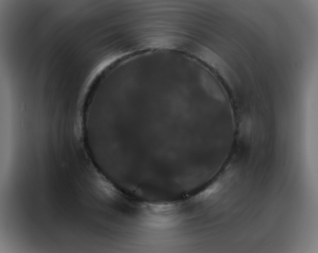 X0000088201027200705221718