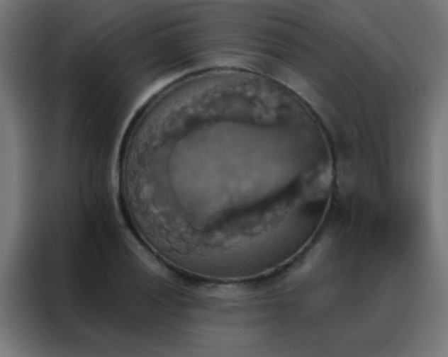 X0000088201028200705221718