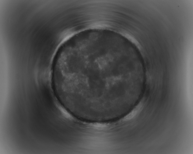 X0000088201029200705221718