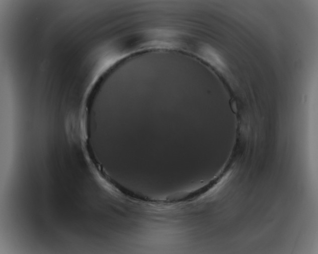 X0000088201030200705221718