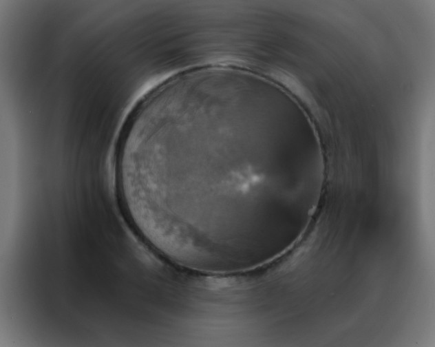 X0000088201032200705221718