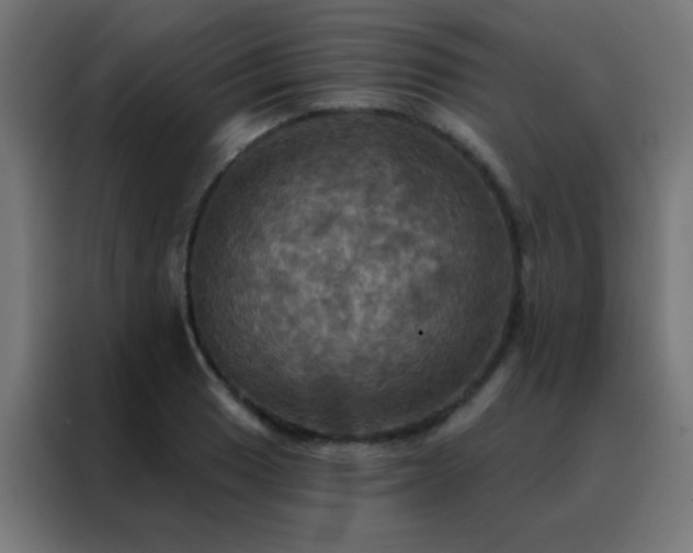 X0000088201033200705221718