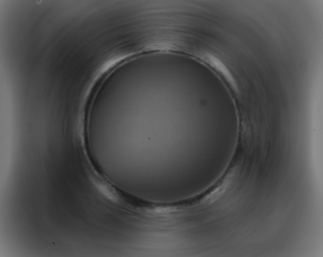 X0000088201035200705221718