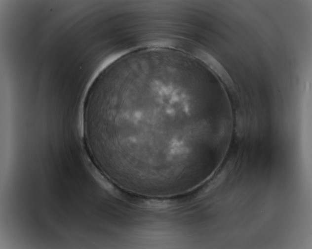 X0000088201036200705221718