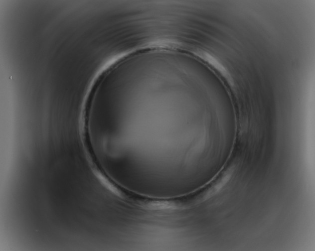 X0000088201037200705221718