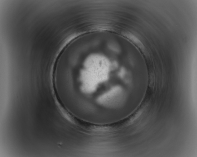 X0000088201039200705221718