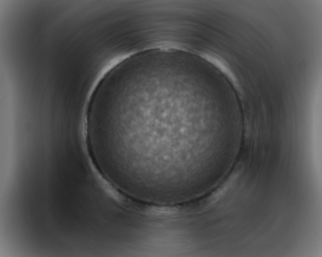 X0000088201040200705221719