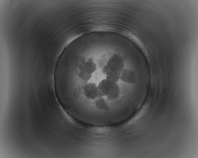 X0000088201041200705221719