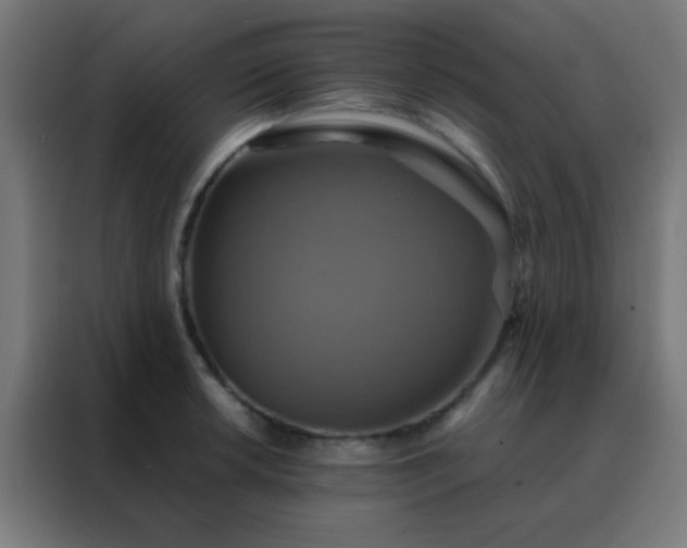 X0000088201042200705221719