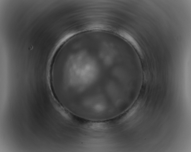 X0000088201043200705221719