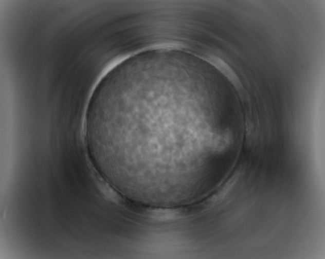 X0000088201044200705221719