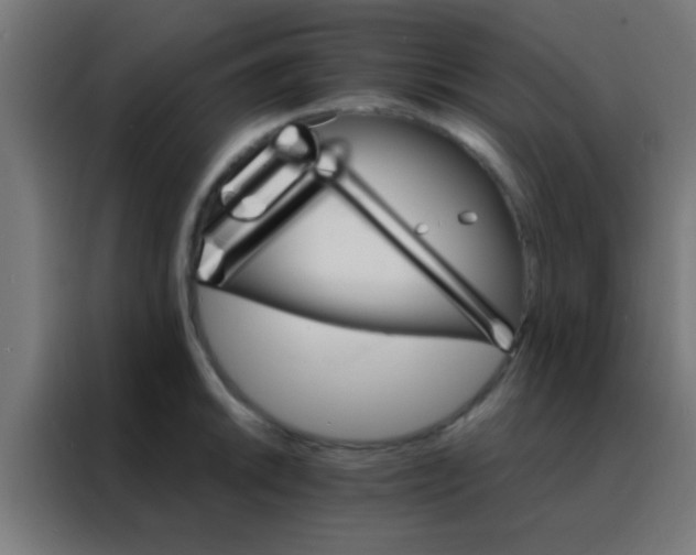 X0000088201046200705221719
