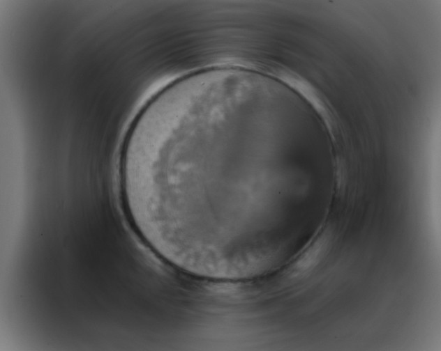 X0000088201048200705221719