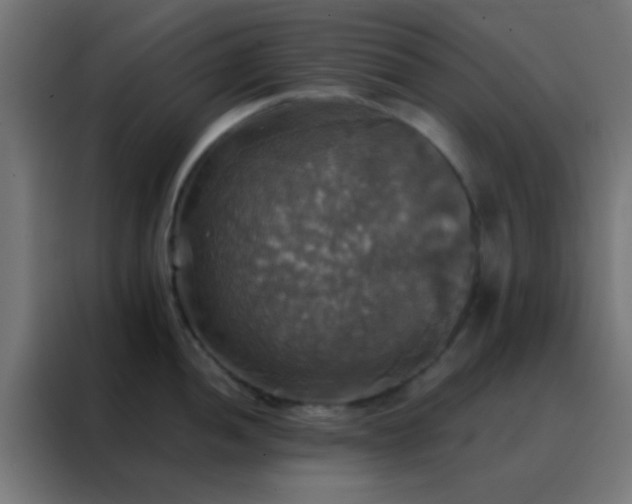 X0000088201052200705221719