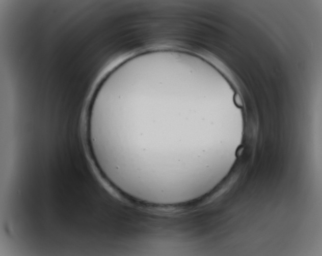 X0000088201053200705221719