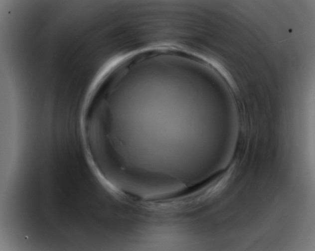 X0000088201054200705221719