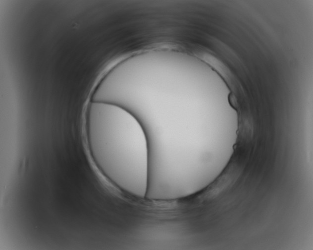 X0000088201055200705221719