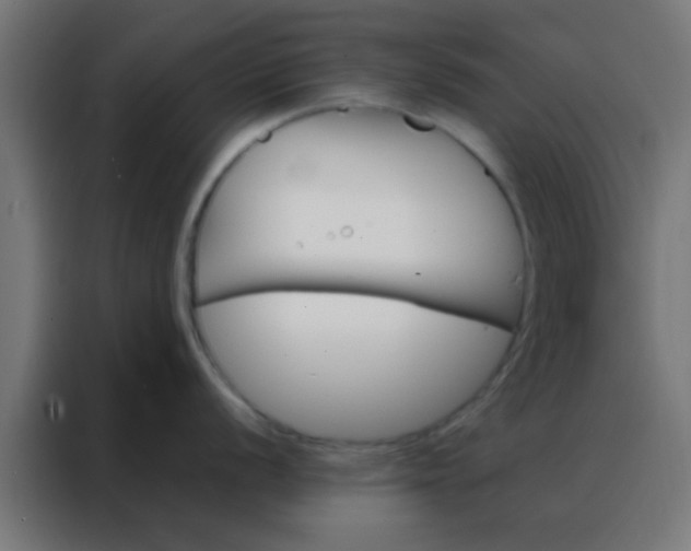 X0000088201056200705221719