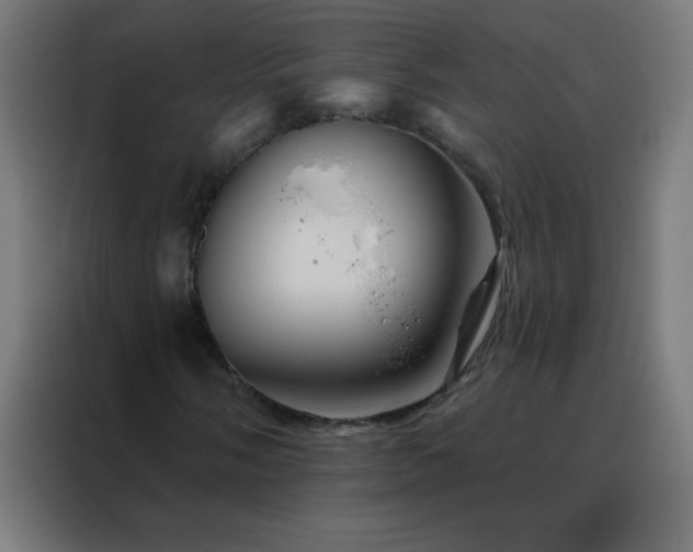 X0000088201058200705221718