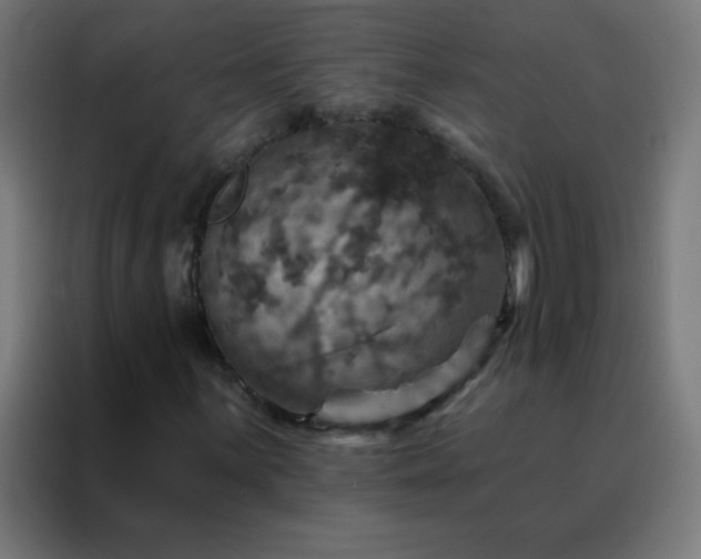 X0000088201059200705221718