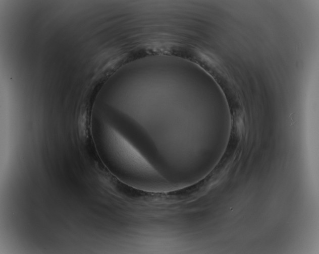 X0000088201060200705221718