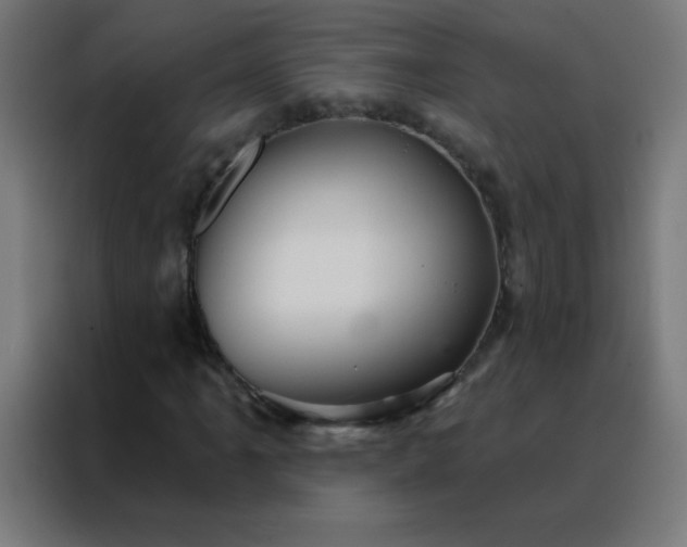 X0000088201061200705221718