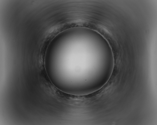 X0000088201062200705221718