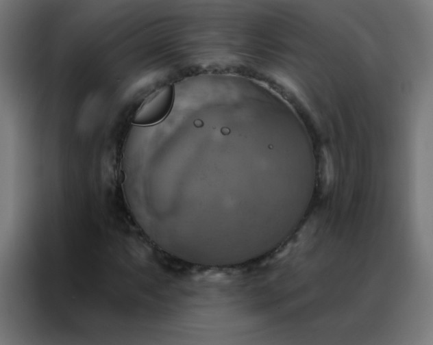 X0000088201063200705221718