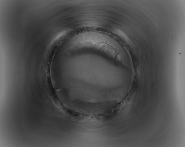 X0000088201064200705221718