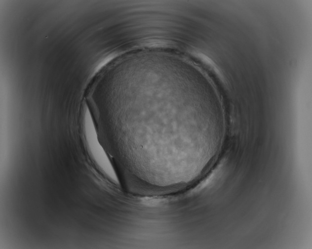 X0000088201065200705221718