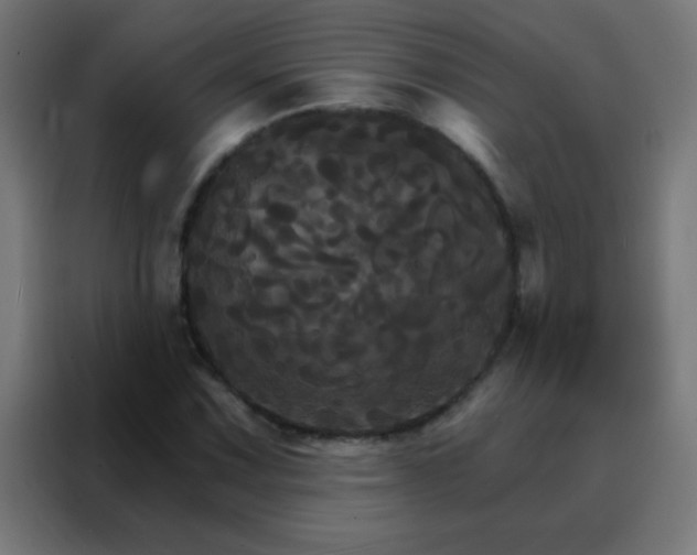 X0000088201067200705221718