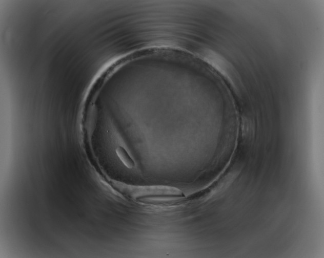 X0000088201068200705221718