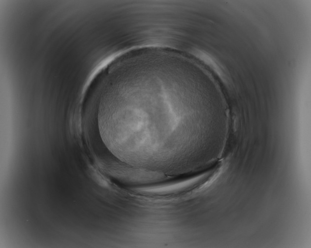 X0000088201069200705221718