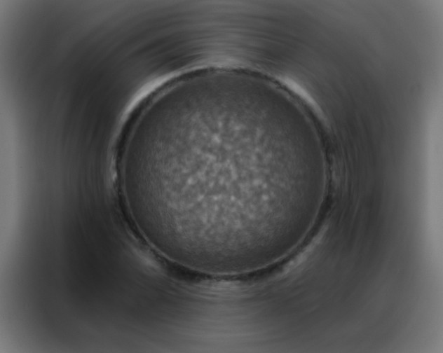 X0000088201070200705221718