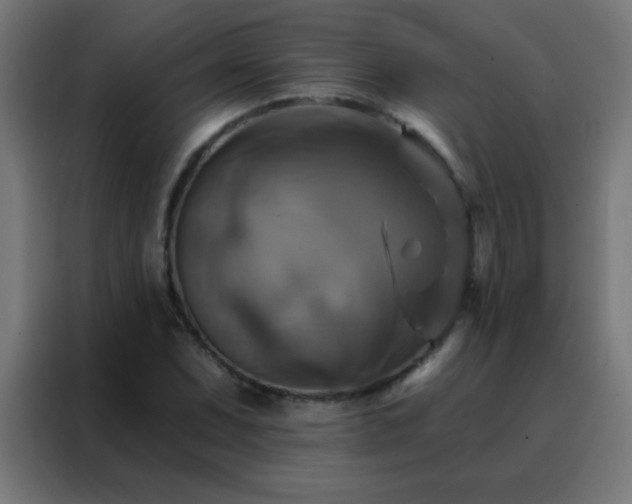 X0000088201071200705221718