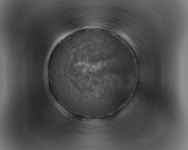 X0000088201072200705221718