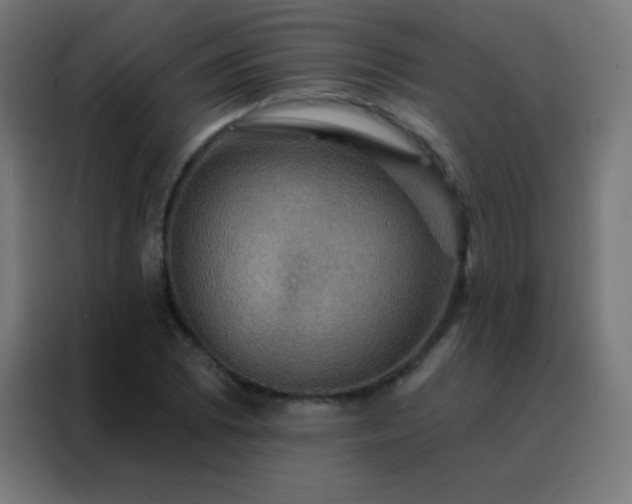 X0000088201073200705221718